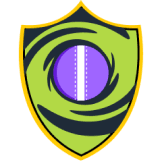 Team logo
