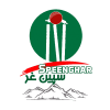 Team logo